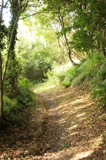 Le sentier du vallon du Stang per